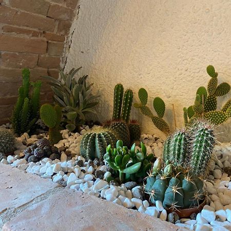 פיזה Cactus Suite מראה חיצוני תמונה