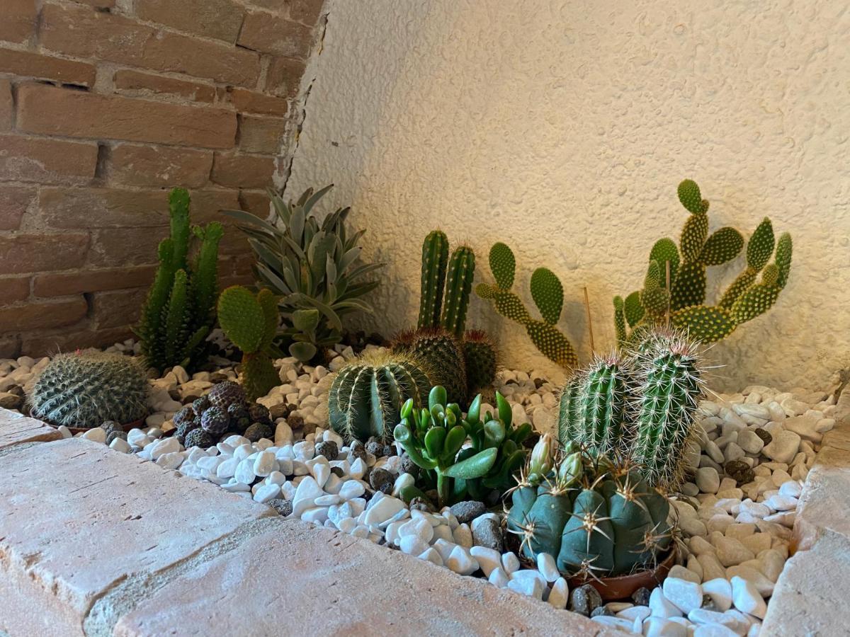 פיזה Cactus Suite מראה חיצוני תמונה